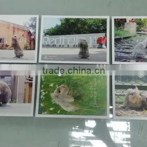 Greeting Card, Christmas Greeting Card Printing thumbnail-1