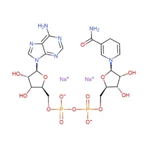 NADH β-Nicotinamide Adenine Dinucleotide Disodium Salt thumbnail-5