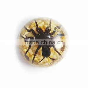Promotional Gifts Glow in Dark Semicircle Crystal Ornament thumbnail-4
