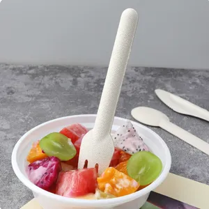 Small Saucer for Ketchup & Dipping Sauce at Fast Food Restaurants, Compostable Sugarcane Pulp, Disposable Plate thumbnail-1