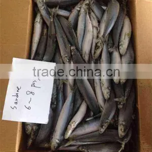 Frozen Sardine 100-150g thumbnail-3