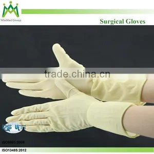 Clinic Surgical Glove thumbnail-6