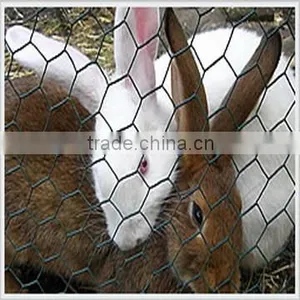 Galvanized Hexagonal Wire Netting thumbnail-5