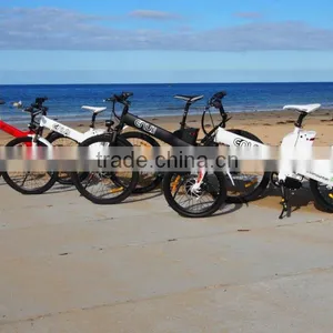 Seagull -China Factory Unique Design EN14764 Bicycle E-bike Middle Motor thumbnail-1