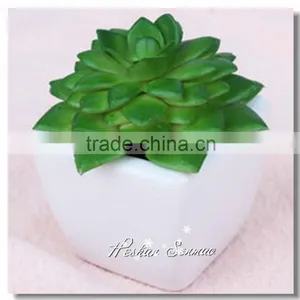 Pvc Material and Succulent Plants Plant Type Artificial Succulent Plants thumbnail-3