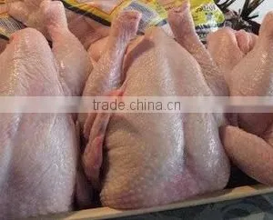 Frozen Chicken Whole Available for Sale thumbnail-1