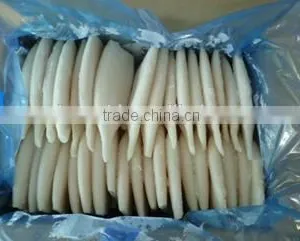 Whole Frozen Squid Tube U5,U7,U10-U20 thumbnail-3