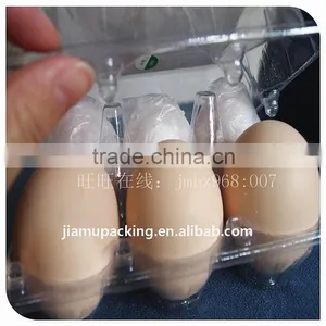 Chicken Egg Trays in Bulk thumbnail-1