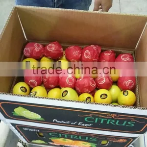 Lemon for Sale thumbnail-2