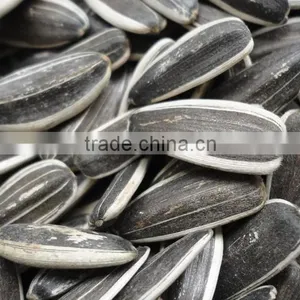 Supply All Kinds Of Sunflower Seeds thumbnail-2