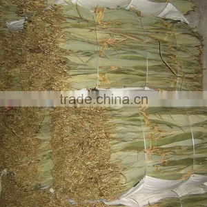 Zhu ye Dry Bamboo Leaves Bamboo Material thumbnail-3