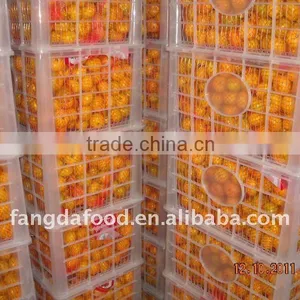 Nanfeng Orange Honey thumbnail-1
