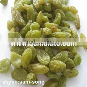 Big Size Sweet Green Raisin Hot Sale thumbnail-1