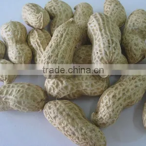 Chinese Peanut Kernels With Shell thumbnail-5