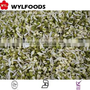 IQF Frozen Price for Soybean Sprout Green thumbnail-1