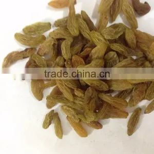 Raisins thumbnail-1