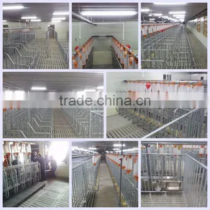 2017 Popular Automatic System Livestock Automatic Feeder Pig Equipment Pig Cage thumbnail-2