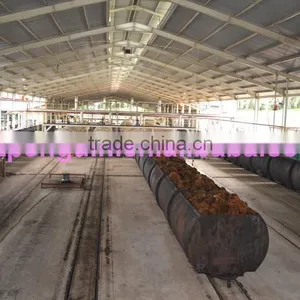 Most Popular Bottom Price in Africa 40TPH Palm Oil Equipment thumbnail-1