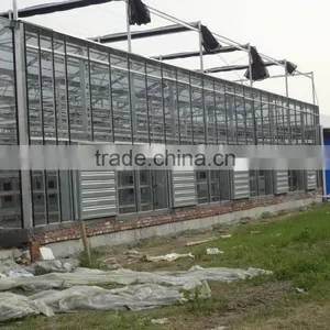 Sunlight Greenhouse Ecological Steel Structure thumbnail-1