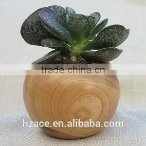 Sphere Succulent Air Plant Planter Wood thumbnail-1