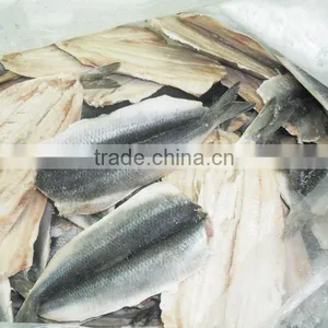 Herring Frozen thumbnail-1