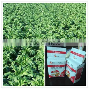 500g Bread Yeast Instant Dry Yeast Fresh Yeast thumbnail-2