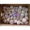 China Fresh Garlic thumbnail-1