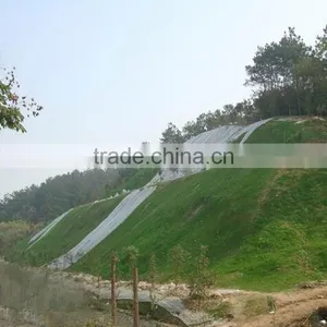 Steady Quality China Agricultural PP Non-woven Fabric,Crop Cover thumbnail-1