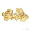 Sell Ginger thumbnail-1