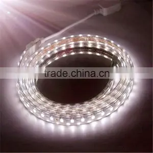 Best Led Lighting Factory 12V/24V Led Strip Light SMD3528 5050 thumbnail-4