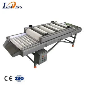 Automatic Industrial Air Bubble Palm Dates Processing Machine Commercial Date Palm Washer Cleaning Machine Dates Cleaner thumbnail-5