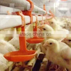 Automatic Poultry Nipple Drinking System thumbnail-1