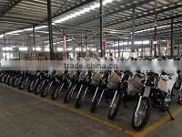 Chongqing Fuego Power Co., Ltd. company overview - view 1 thumbnail