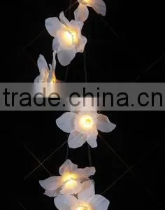 White Daffodil String Light thumbnail-1