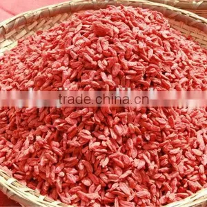 Organic Certified Gojiberry in Our Own Company-owned Goji Farm thumbnail-1