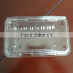 PET Plastic Transparent Boxes for Packing Strawberry thumbnail-6