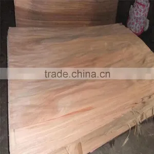 AAA Gurjan Veneers Ready thumbnail-1