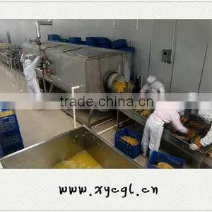 Dehydrated Vegetables Processing And Drying Machine thumbnail-1