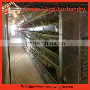 Stable Steel Structure Chicken Egg Layer Cage Poultry Farm Construction Design thumbnail-6