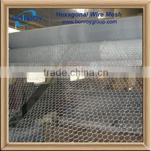 Factory Price Chicken Coop Wire Mesh Netting Roll thumbnail-1