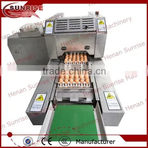 58 Full Automatic Duck Egg Peeler 0086 13721438675 thumbnail-2