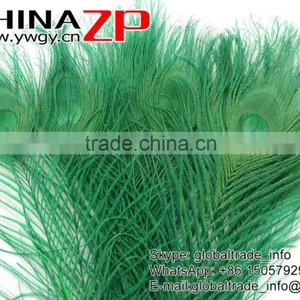 Leading Supplier CHINAZP Wholesale Cheap Full Eye Dyed Green Peacock Tail Feathers thumbnail-2