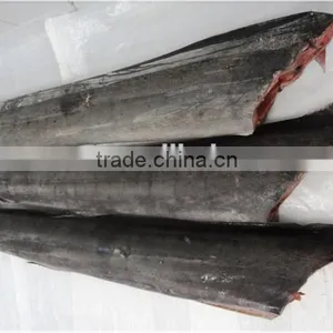 Frozen Sailfish HG Frozen Sea Food thumbnail-1