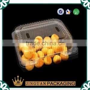 500g PET Blister Plastic Cookies Packaging Box/plastic Fruit Box thumbnail-1