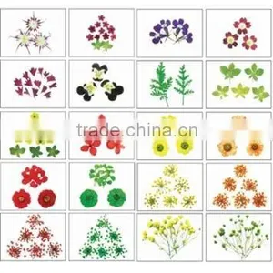 Nail Art Flower thumbnail-1