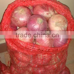 Fresh Onion thumbnail-1