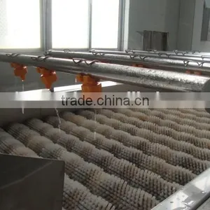 China Pickled Sushi Ginger Factory thumbnail-4