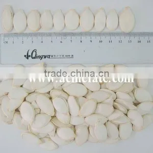 Grade A Pumpkin Seeds for Snacks thumbnail-1