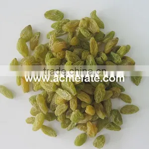 China Suppliers Best Price Green Raisin thumbnail-3