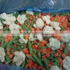 Blended Frozen Bulk Manufacturer Fruits and Vegetables Model thumbnail-6